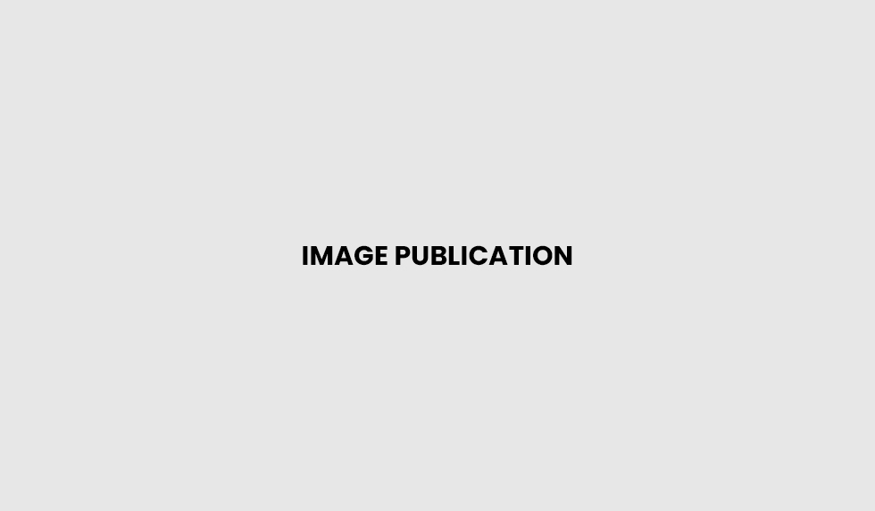 My Fifth Article III
